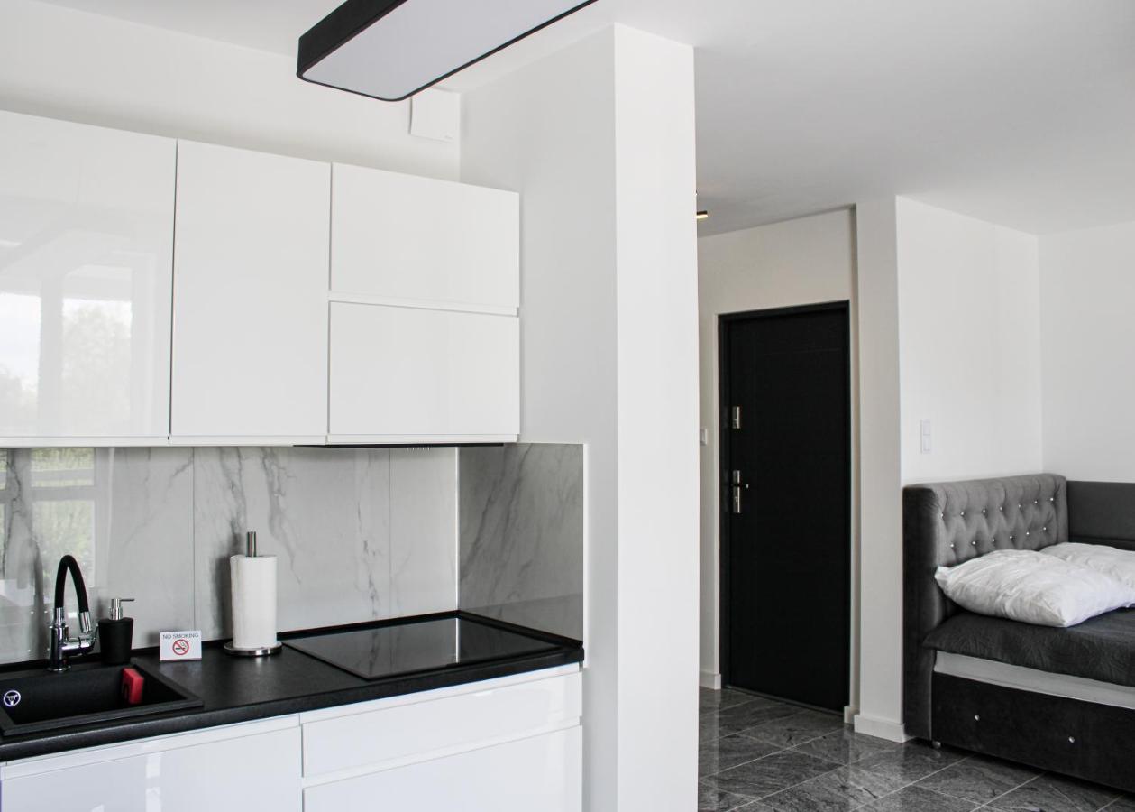 Apartament Black-Niska Z Garazem Podziemnym 凯尔采 外观 照片